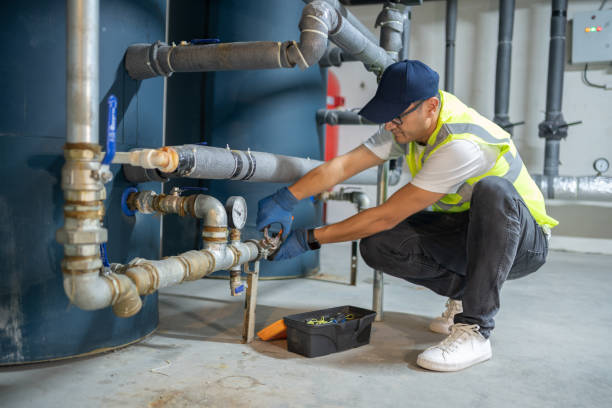 Best Water Filtration System Installation  in Brownlee Park, MI