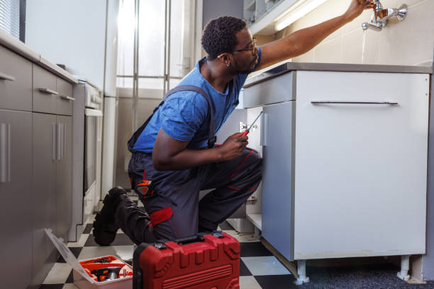 Residential Plumbing Services in Brownlee Park, MI