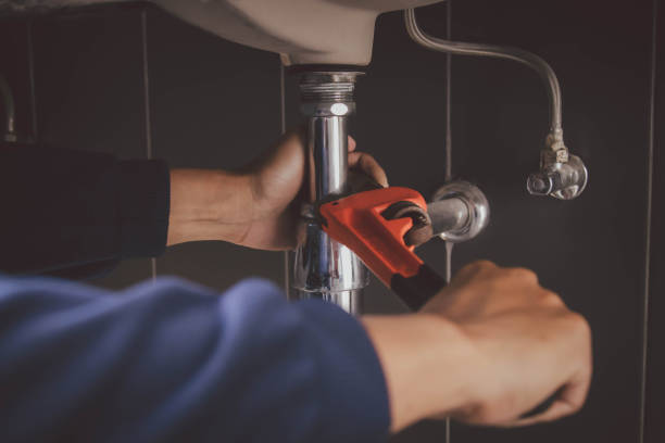 Best Gas Line Installation and Repair  in Brownlee Park, MI