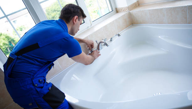 Best Commercial Plumbing Services  in Brownlee Park, MI